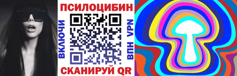 где продают   Ряжск  Галлюциногенные грибы GOLDEN TEACHER 